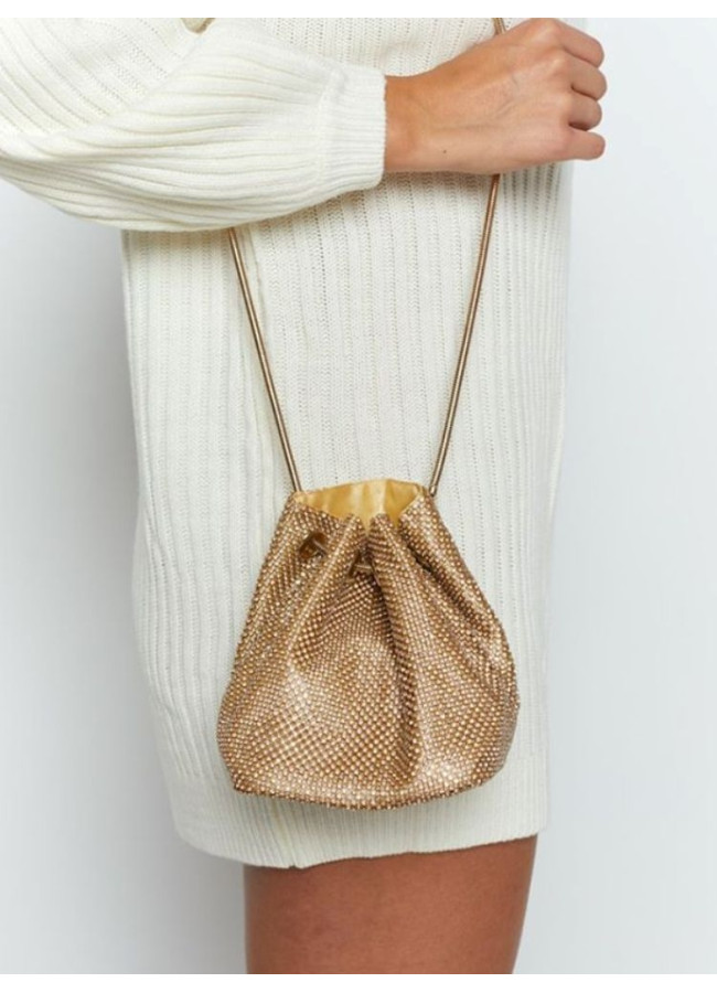 GOLD STRASS POUCH HANDBAG