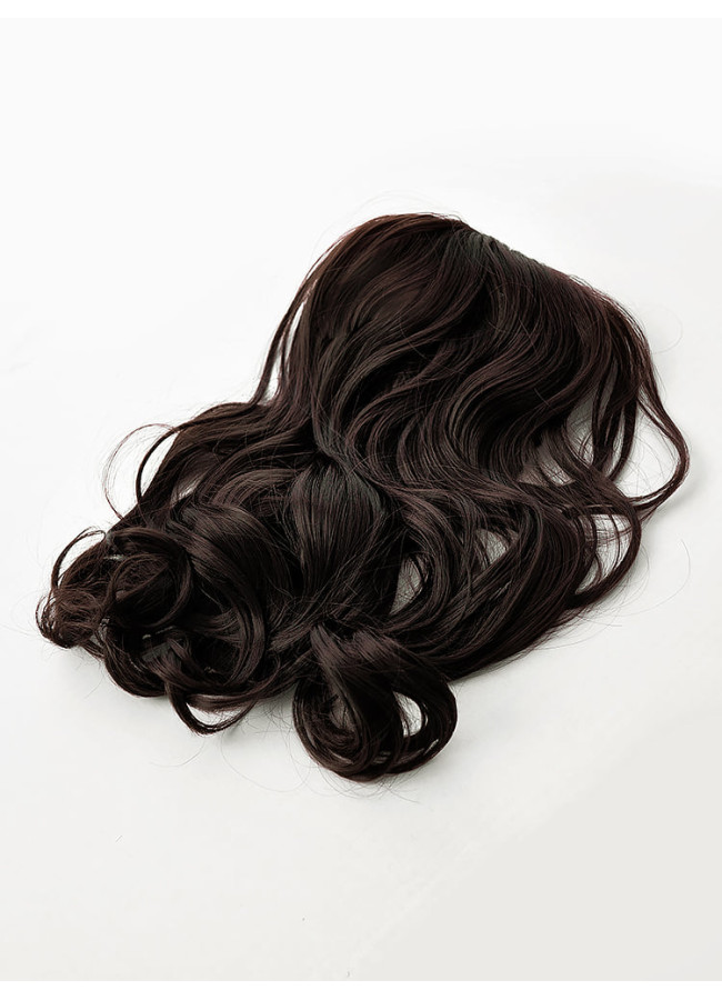HAIR EXTENSIONS WITH CLIPS