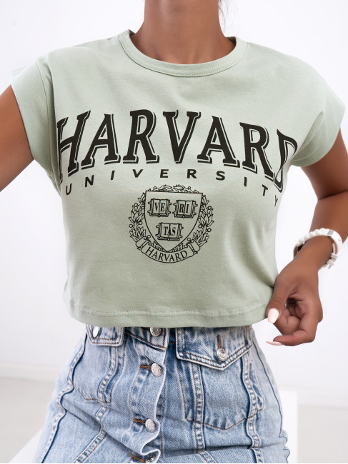 HARVARD MINT CROP TSHIRT