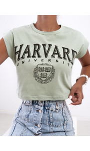 HARVARD MINT CROP TSHIRT