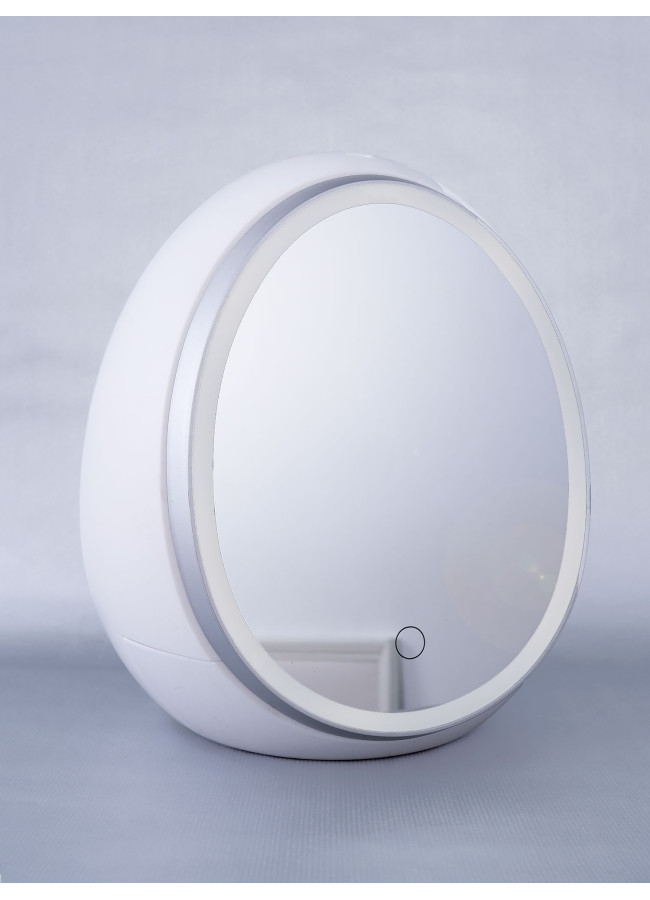 COSMETIC MIRROR CASE