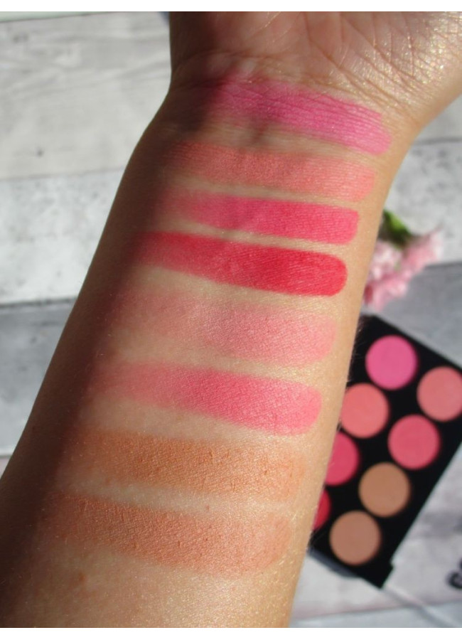 TECHNIC BLUSH PALETTE