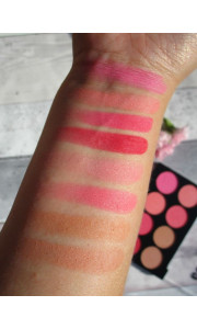 TECHNIC BLUSH PALETTE