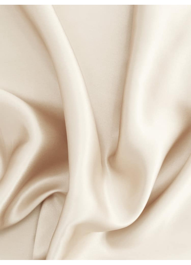 CHAMPAGNE BELLEN SILK PILLOWCASE