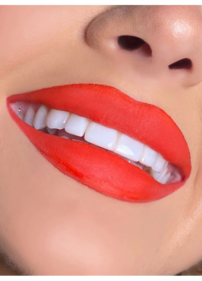 MATTE LIQUID LIPSTICK LOTTIE LONDON - SLAY ALL DAY
