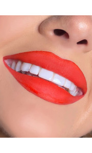 MATTE LIQUID LIPSTICK LOTTIE LONDON - SLAY ALL DAY