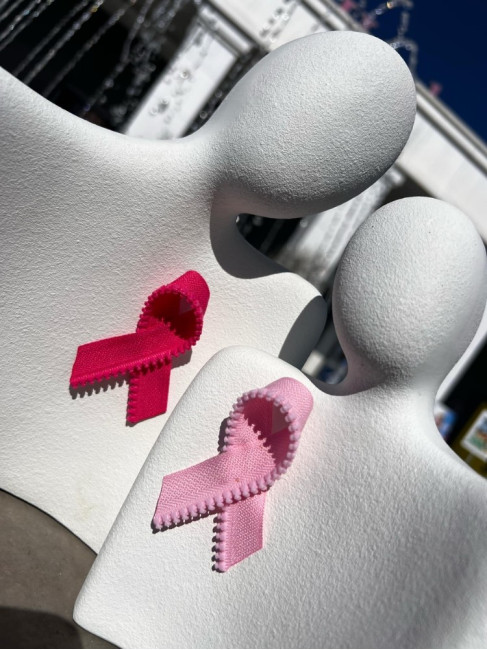 ΚΑΡΦΙΤΣΑ FIGHT BREAST CANCER
