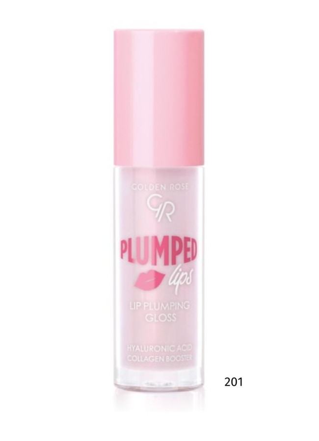 GOLDEN ROSE LIP GLOSS - PLUMPED LIPS