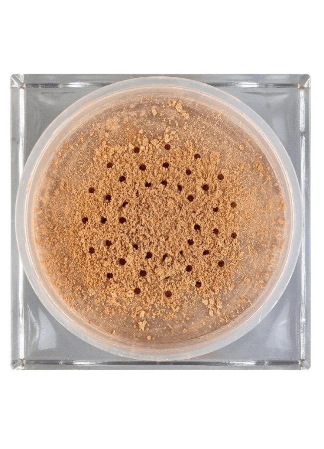 TECHNIC SUMMER VIBES ILLUMINATING LOOSE POWDER